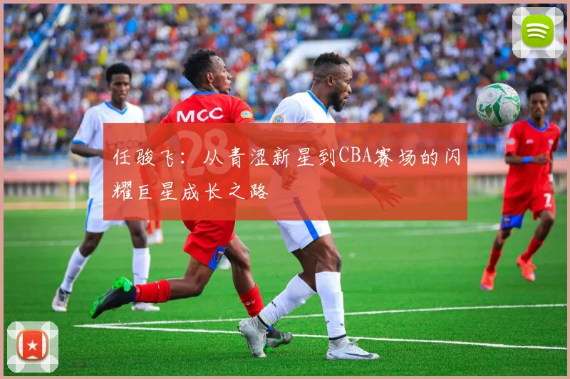 任骏飞：从青涩新星到CBA赛场的闪耀巨星成长之路